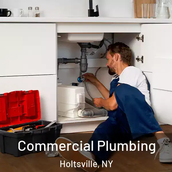  Commercial Plumbing Holtsville, NY